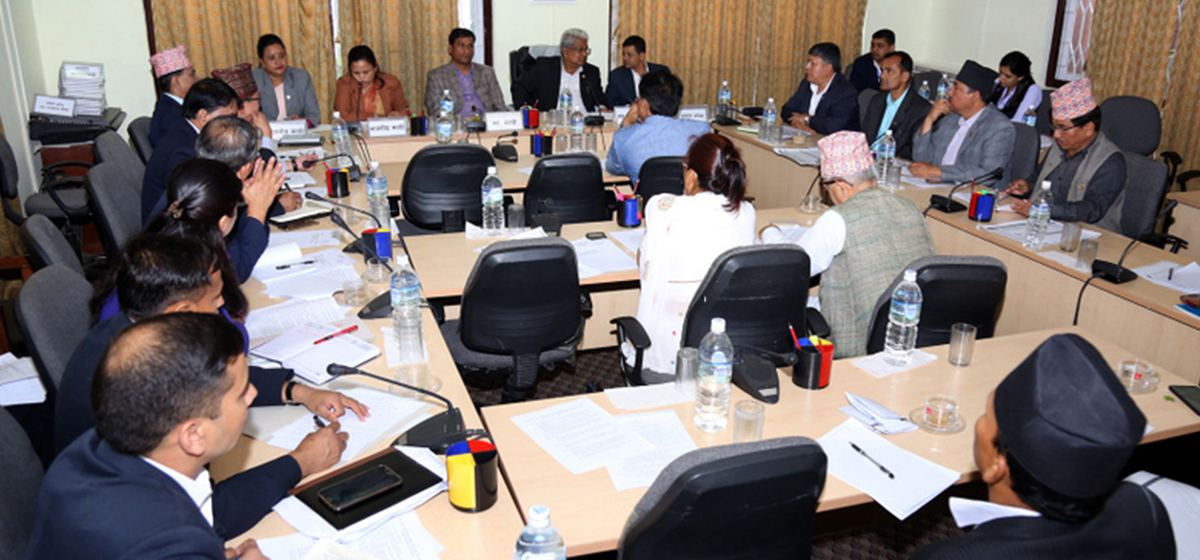 ‘जेनजी’ आन्दोलनले प्रभावित राज्य व्यवस्था समितिको बैठक, गृहमन्त्री लेखक बाहिरिएपछि स्थगित